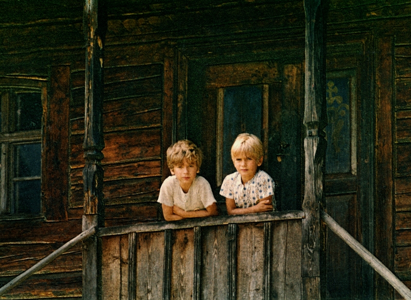 Viorel Simionescu - Pe prispa unei vechi case brănene.jpg